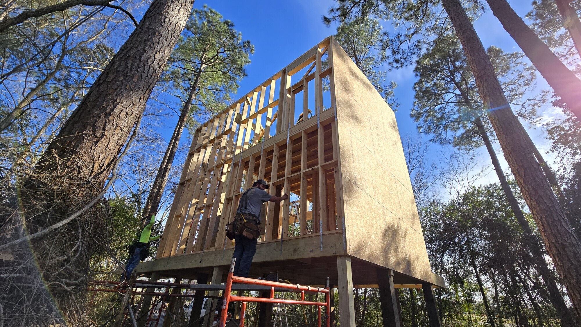 Tree House